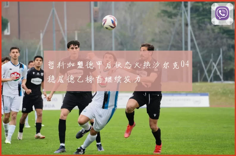 哲科加盟德甲后状态火热沙尔克04稳居德乙榜首继续发力